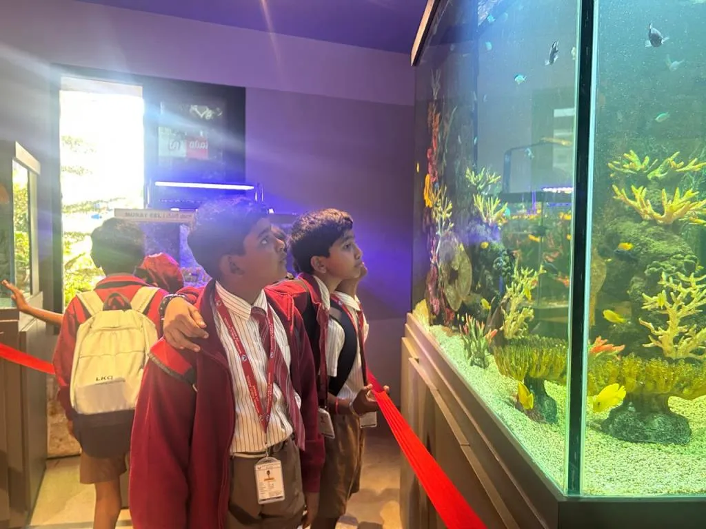 Discovering Aquatic Life at Namma Aquarium 10