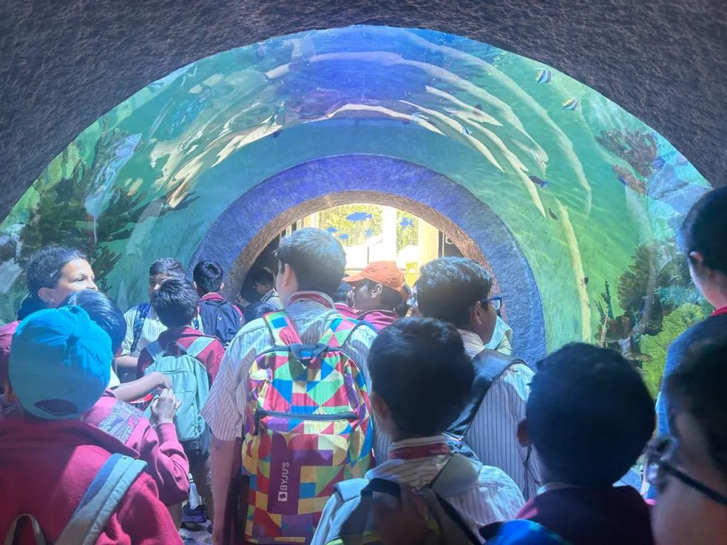 Discovering Aquatic Life at Namma Aquarium 11