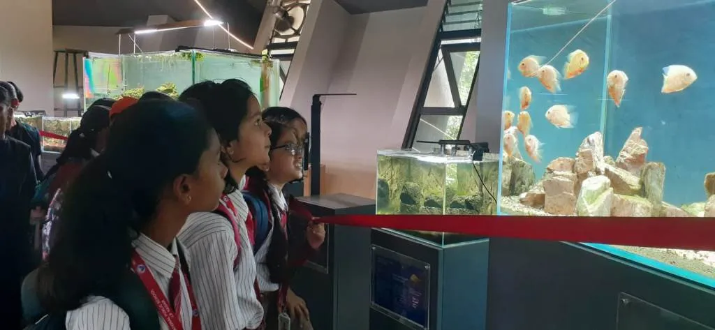 Discovering Aquatic Life at Namma Aquarium 3