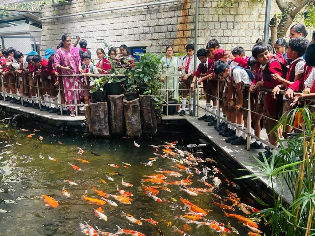 Discovering Aquatic Life at Namma Aquarium 4
