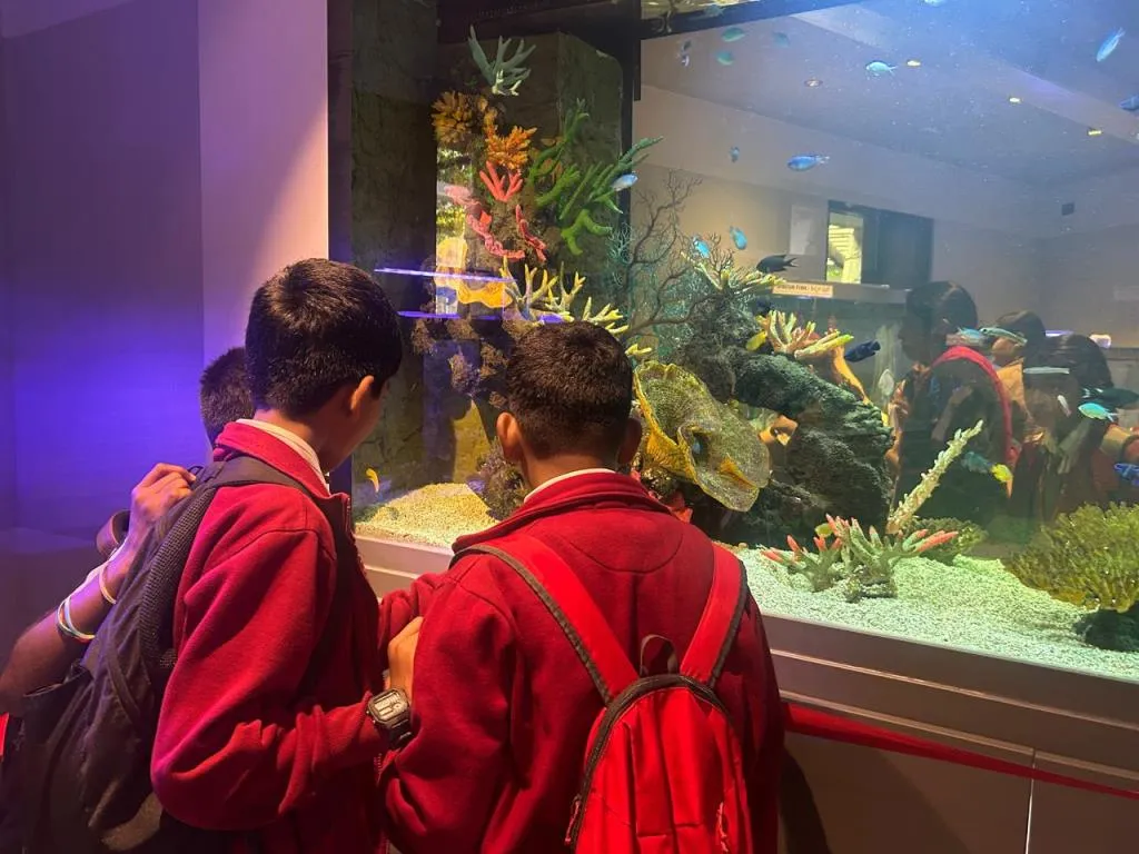 Discovering Aquatic Life at Namma Aquarium 5