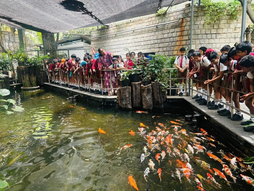 Discovering Aquatic Life at Namma Aquarium 6