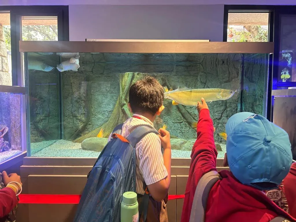 Discovering Aquatic Life at Namma Aquarium 7