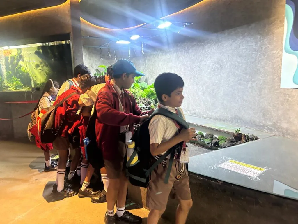 Discovering Aquatic Life at Namma Aquarium 8