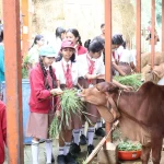 educational-visit-sri-krishna-gaushala-pic-8